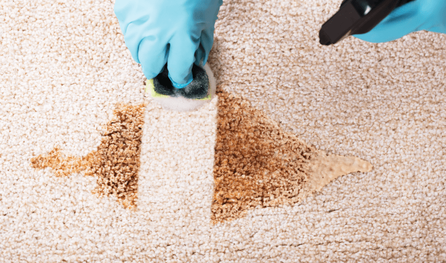 DEEP CLEANING